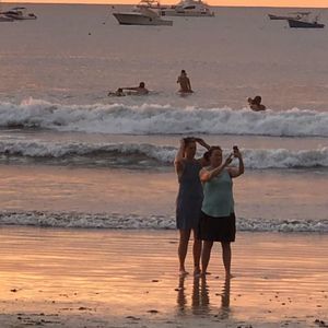 Meet your Posher, Shelley